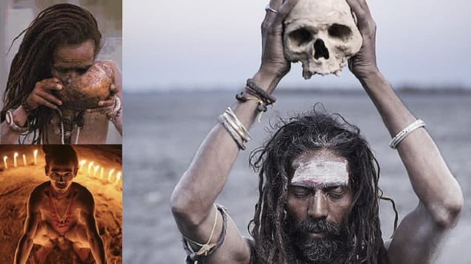 Agori